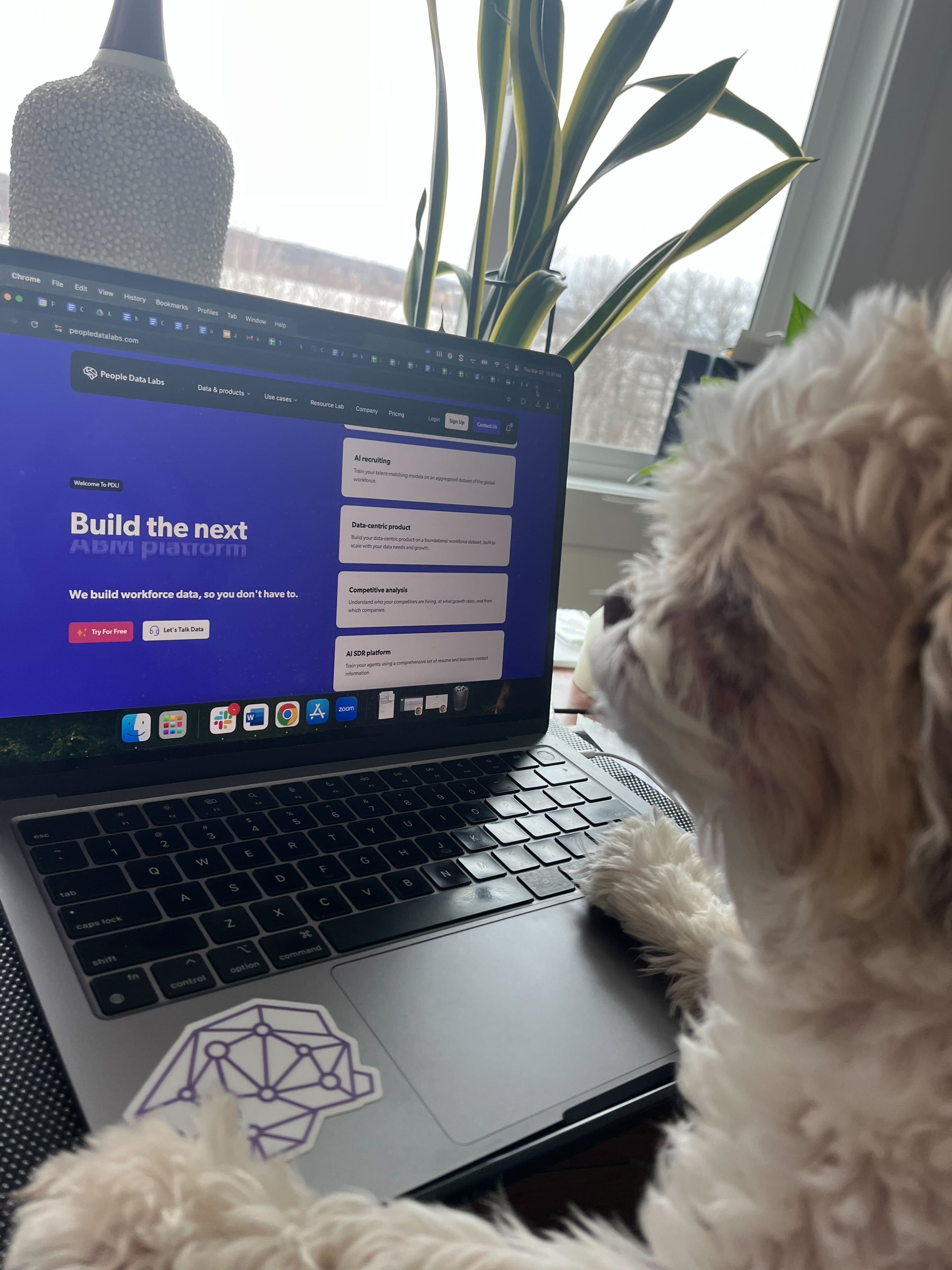 Puppy Data Labs